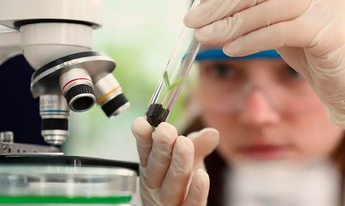 Prêmio científico contempla Humanidades, Saúde e Exatas