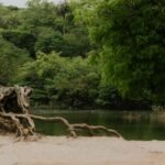 Paricatuba cria experiências que conectam turistas e moradores